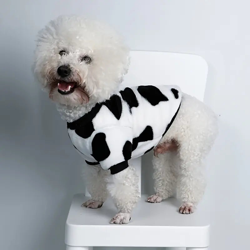 Dog Sweaters