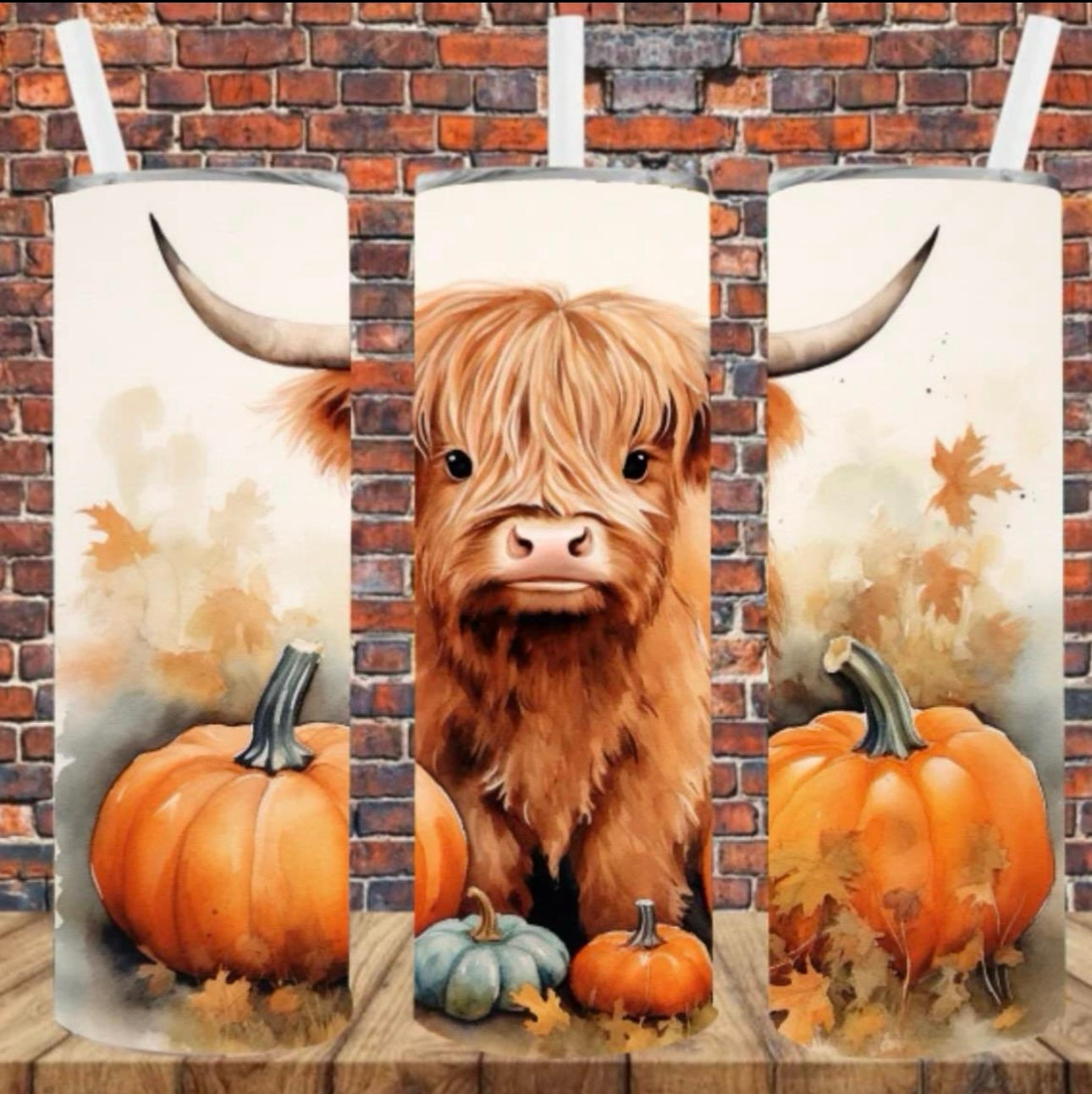 Pumpkin fall highland