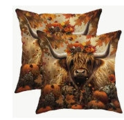 2 pc Autumn velvet pillow covers
